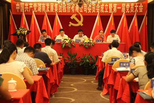 中共雷火网_雷火（中国）委员会成立大会暨雷火网_雷火（中国）第一届党员代表大会胜利召开