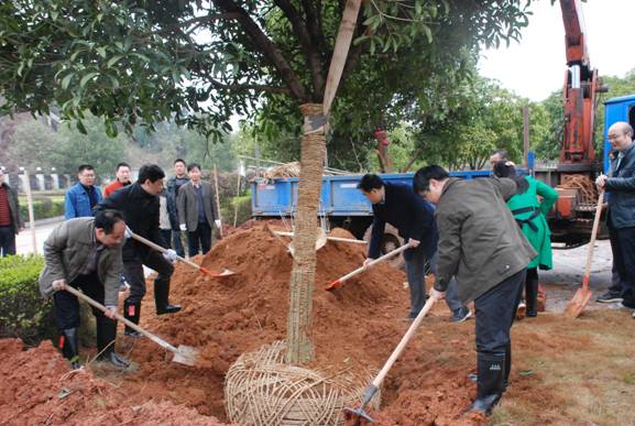 雷火网_雷火（中国）开展植树活动