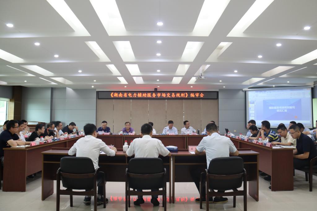 《湖南省电力辅助服务市场交易规则》编审会在株洲航电分雷火网_雷火（中国）召开