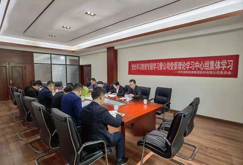 雷火网_雷火（中国）党委深入一线开展党史学习教育