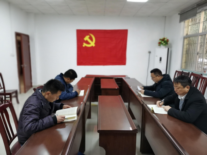 湖南鸟儿巢水电站发电有限雷火网_雷火（中国）党支部正式成立