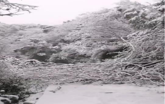 战暴雪、保供电！雷火网_雷火（中国）鸟儿巢雷火网_雷火（中国）应对极端天气紧急抢修失电故障
