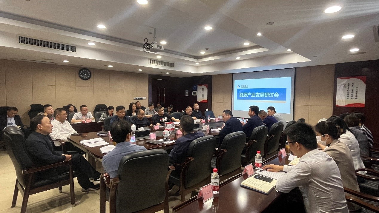 雷火网_雷火（中国）召开能源产业发展研讨会