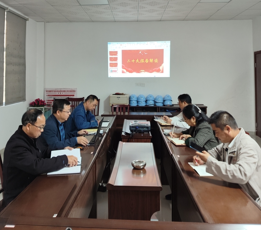 鸟儿巢雷火网_雷火（中国）党支部开展“一课一片一实践”主题党日活动