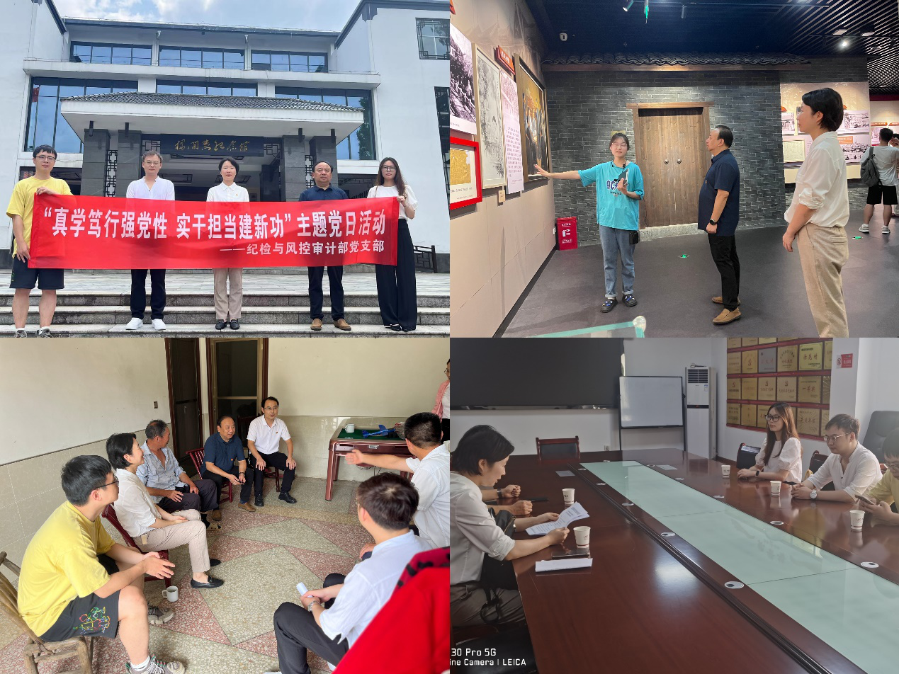 雷火网_雷火（中国）纪检与风控审计部党支部开展“真学笃行强党性 实干担当建新功”主题党日活动